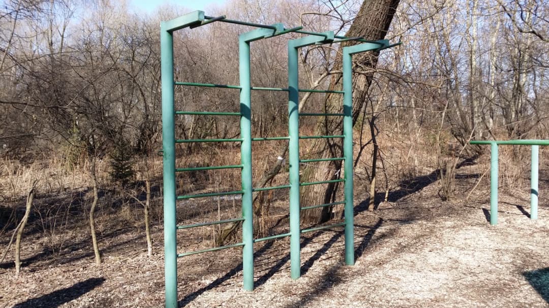 Parallel Gym Bars at Calisthenics Park at улица Свободы, Москва #wp2817 – photo 5 of 8