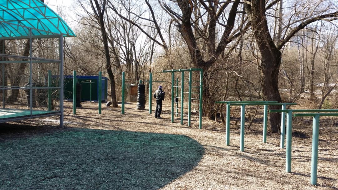 Wall Bars at Calisthenics Park at улица Свободы, Москва #wp2817 – photo 6 of 8