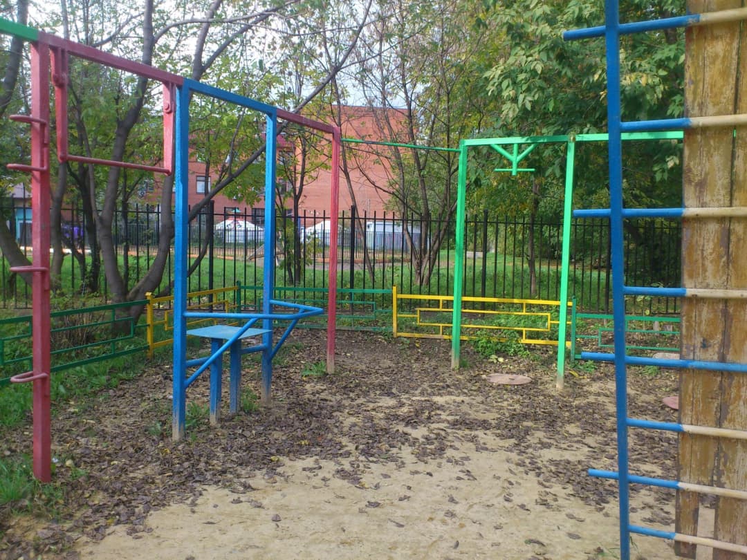 Monkey Bars at Calisthenics Park at Авиамоторная улица, Москва #wp2832 – photo 3 of 3