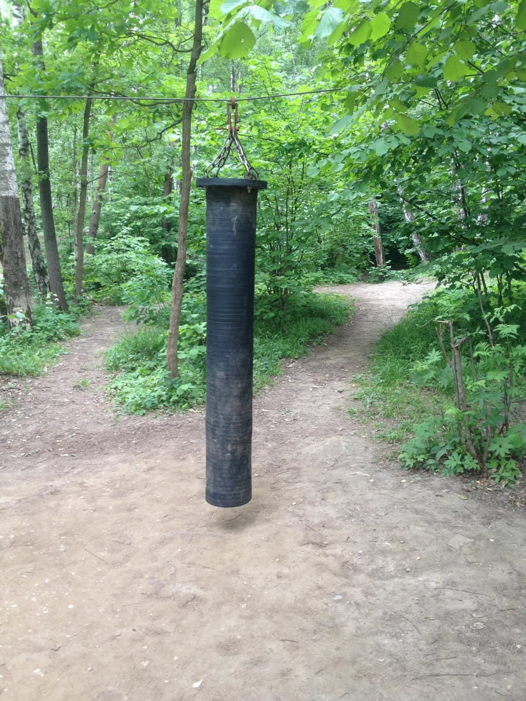 Barres de singe à Calisthenics Park at улица Академика Виноградова, Москва #wp2833 – photo 3 sur 16