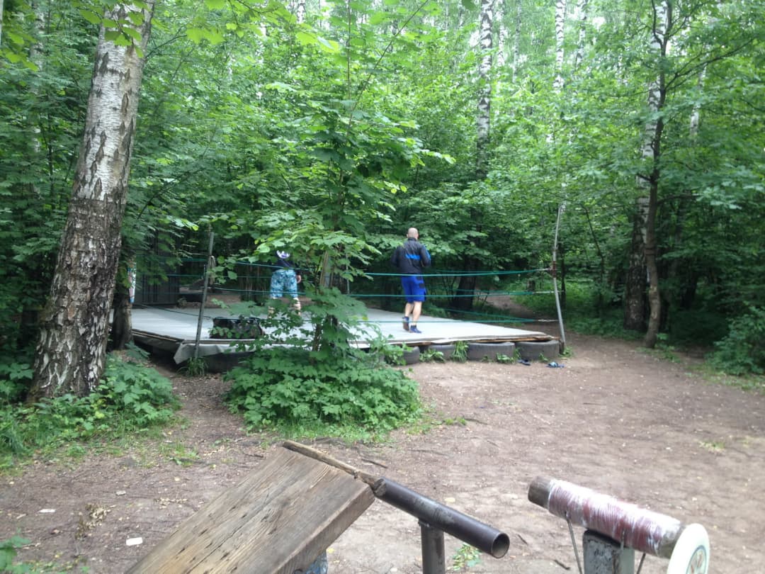 Barres parallèles à Calisthenics Park at улица Академика Виноградова, Москва #wp2833 – photo 9 sur 16