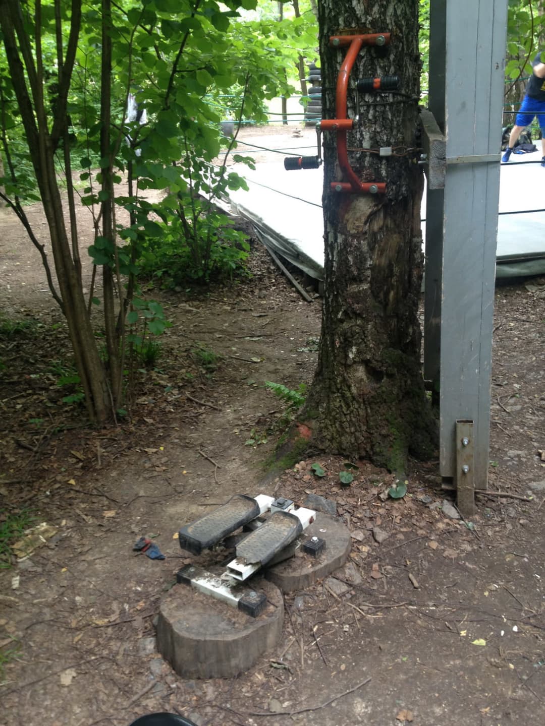 Banc à abdominaux à Calisthenics Park at улица Академика Виноградова, Москва #wp2833 – photo 12 sur 16