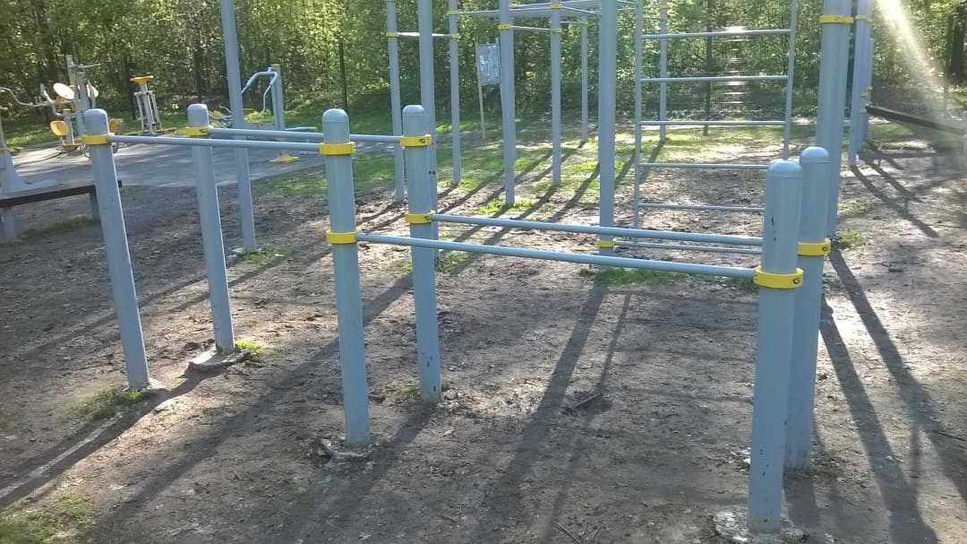 Monkey Bars at Calisthenics Park at Измайловский проспект, Москва #wp2831 – photo 3 of 10