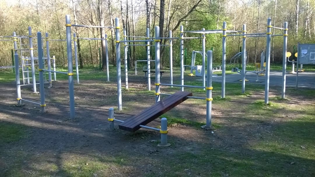 Parallel Gym Bars at Calisthenics Park at Измайловский проспект, Москва #wp2831 – photo 9 of 10
