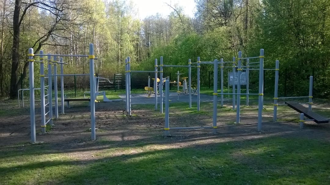 Monkey Bars at Calisthenics Park at Измайловский проспект, Москва #wp2831 – photo 10 of 10