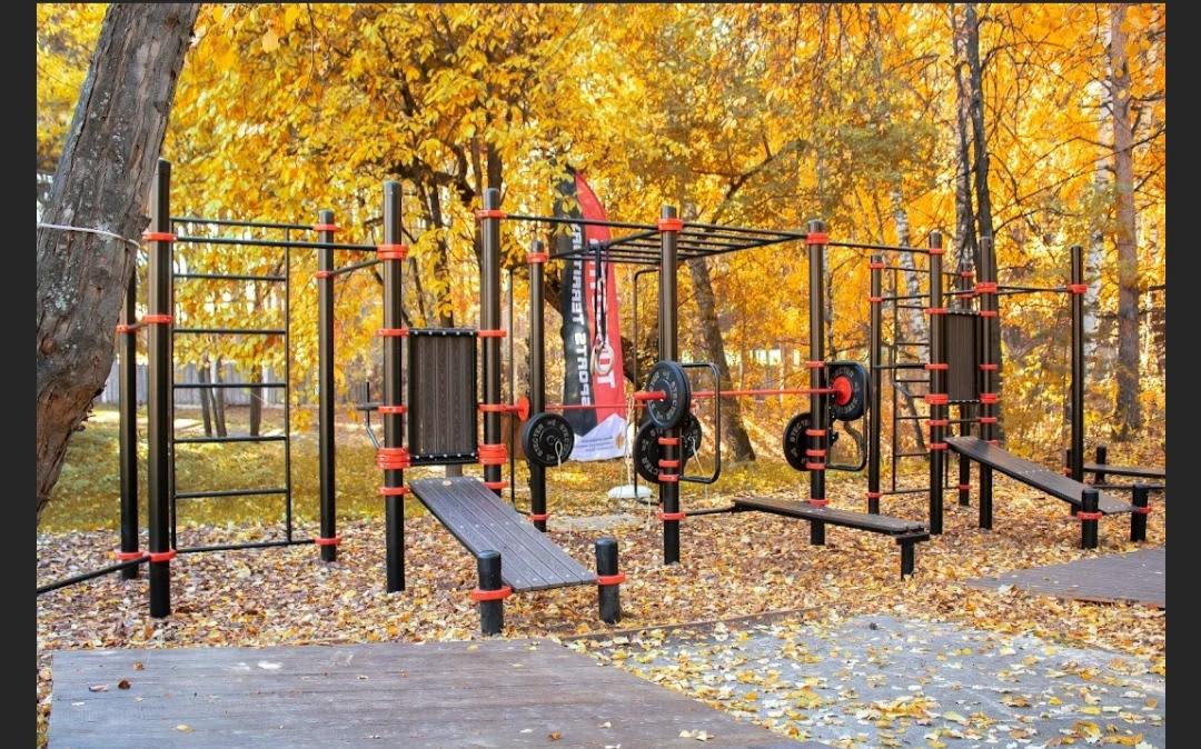 Pull Up Bar at Calisthenics Park at Детский оздоровительный лагерь им. Зои Космодемьянской, Тургояк – photo 1 of 3