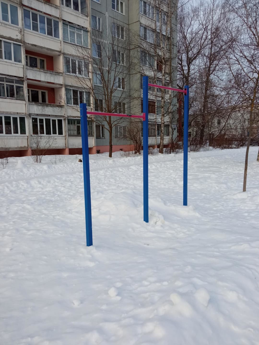 Air walker presso Calisthenics Park at улица Евгения Пичугина, городской округ Тверь – foto 4 di 6