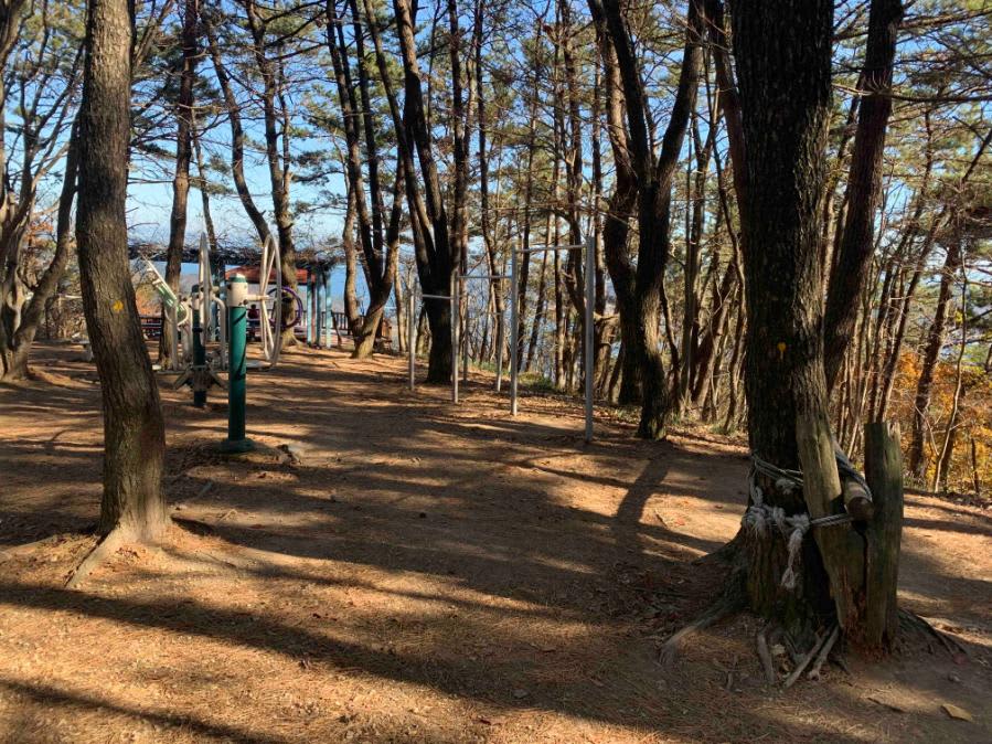 Pull Up Bar at Calisthenics Park at 서간도길, 거제시 – photo 1 of 1