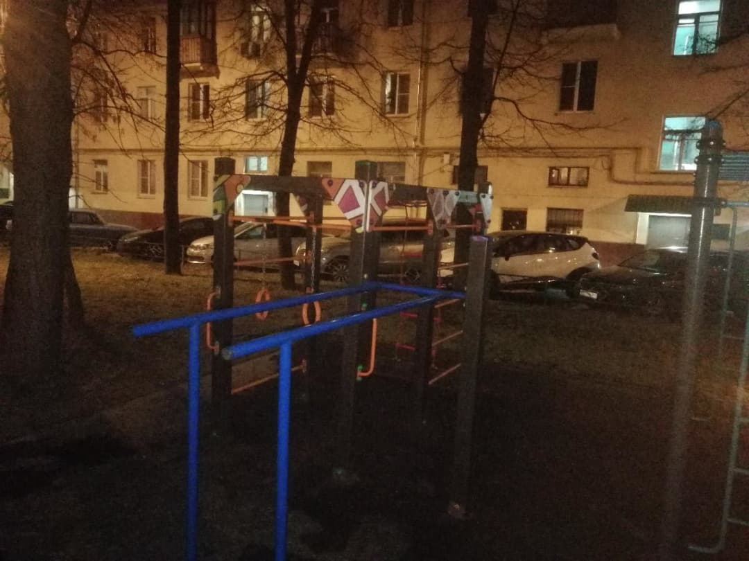 Monkey Bars at Calisthenics Park at улица Маршала Неделина, Москва #wp2905 – photo 3 of 7