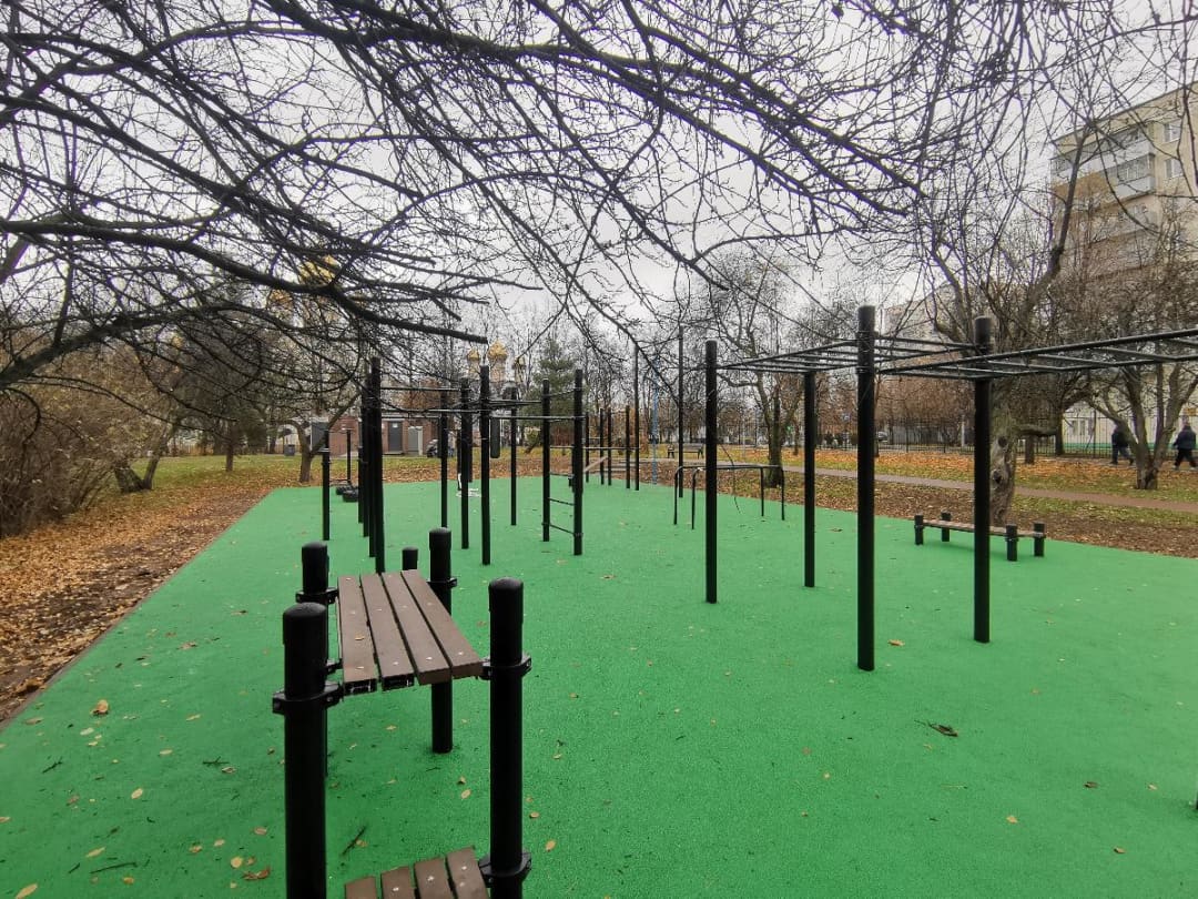 Monkey Bars at Calisthenics Park at проектируемый проезд № 4599, Москва – photo 3 of 5