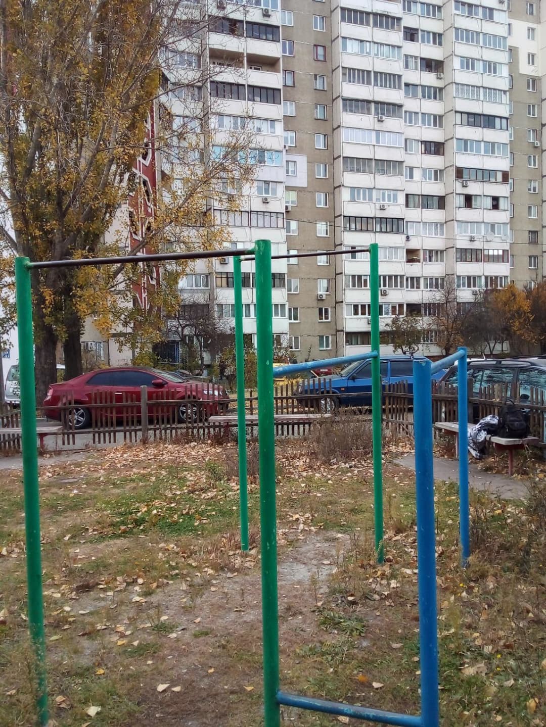 Pull Up Bar at Calisthenics Park at проспект Академіка Палладіна, Київ – photo 1 of 2