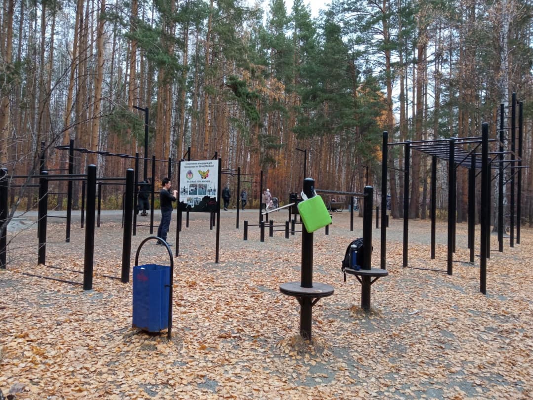 Упори для віджимань на майданчику Calisthenics Park at улица 40-летия Победы, Челябинск – фото 2 з 2