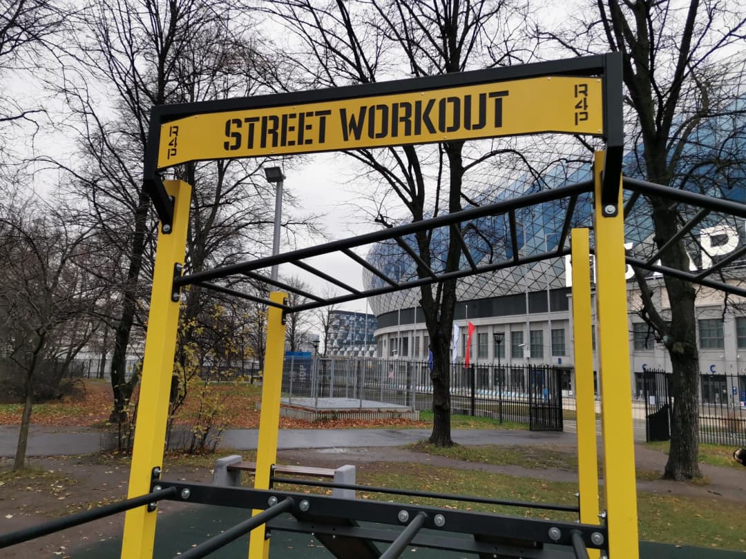 Monkey Bars la Calisthenics Park at Сильный двор "Динамо", Москва – fotografia 3 din 3