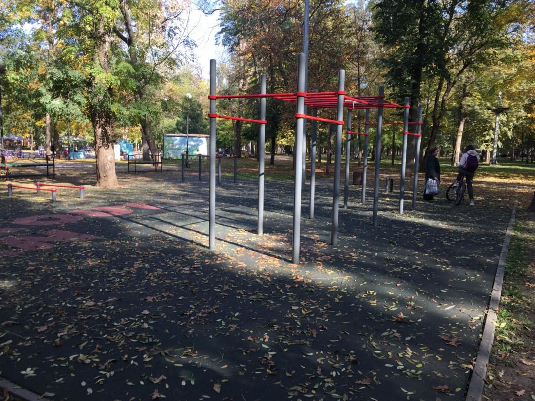 Barra de Flexiones en Calisthenics Park at Чистяковская аллея, Краснодар – foto 2 de 3