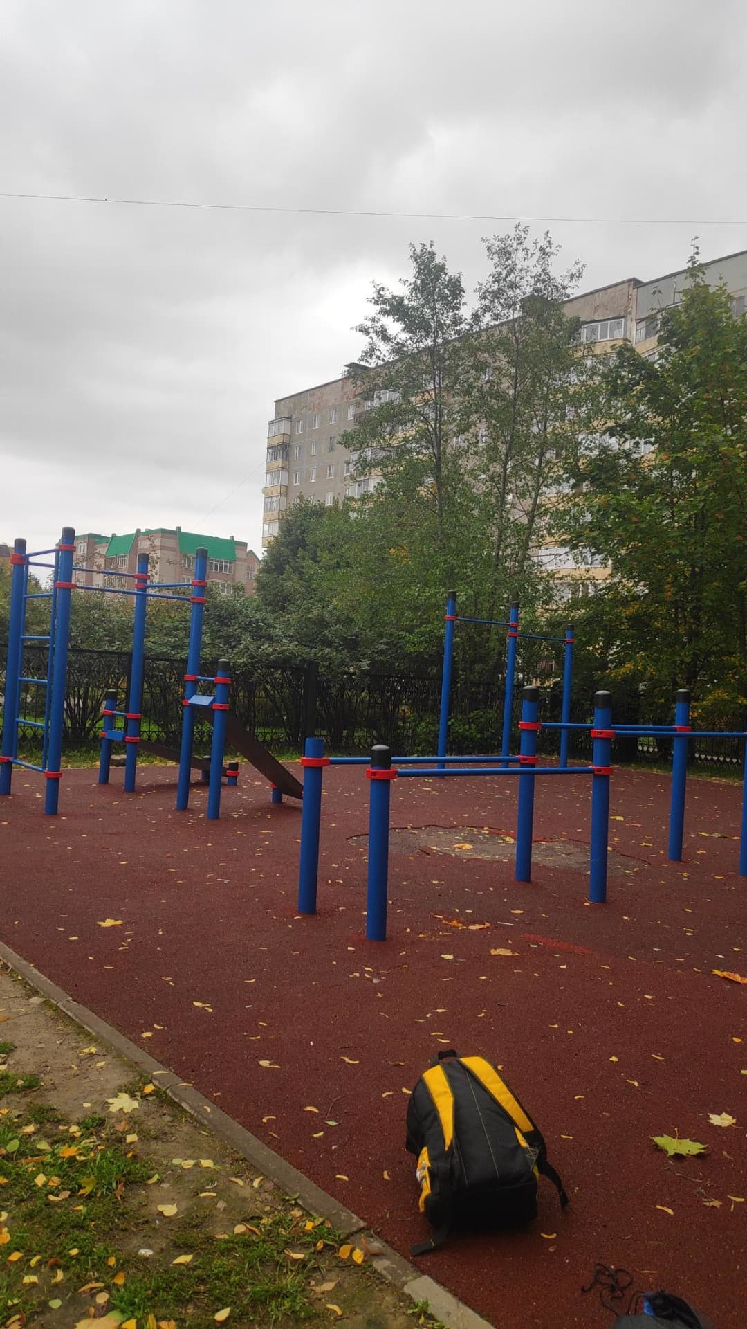 Barras Paralelas en Calisthenics Park at Городецкая улица, Череповец – foto 2 de 2