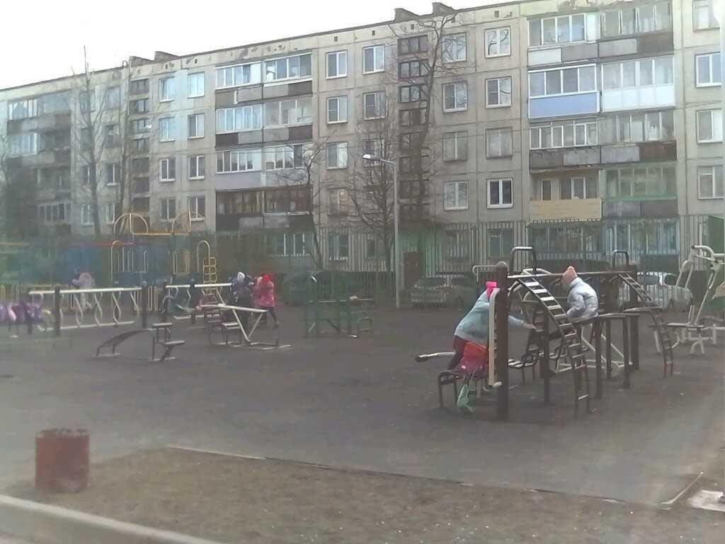 Pull Up Bar at Calisthenics Park at Будапештская улица, Санкт-Петербург – photo 1 of 1