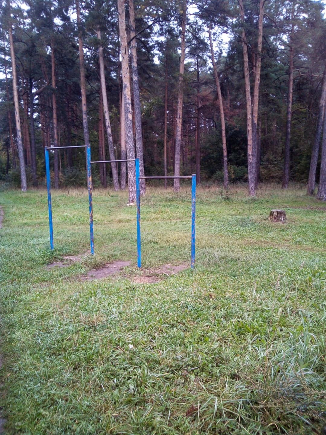 Bară de tracțiuni la Calisthenics Park at улица Маршала Конева, городской округ Тверь – fotografia 3 din 3