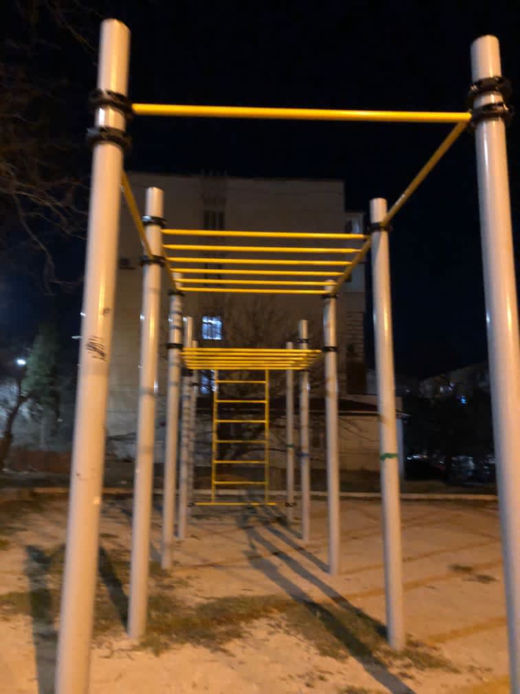 Шведская стенка на площадке Calisthenics Park at улица Павла Корчагина, Севастополь – фото 4 из 6