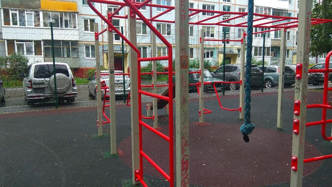 Шведська стінка на майданчику Calisthenics Park at Орловская улица, Брянск – фото 4 з 6