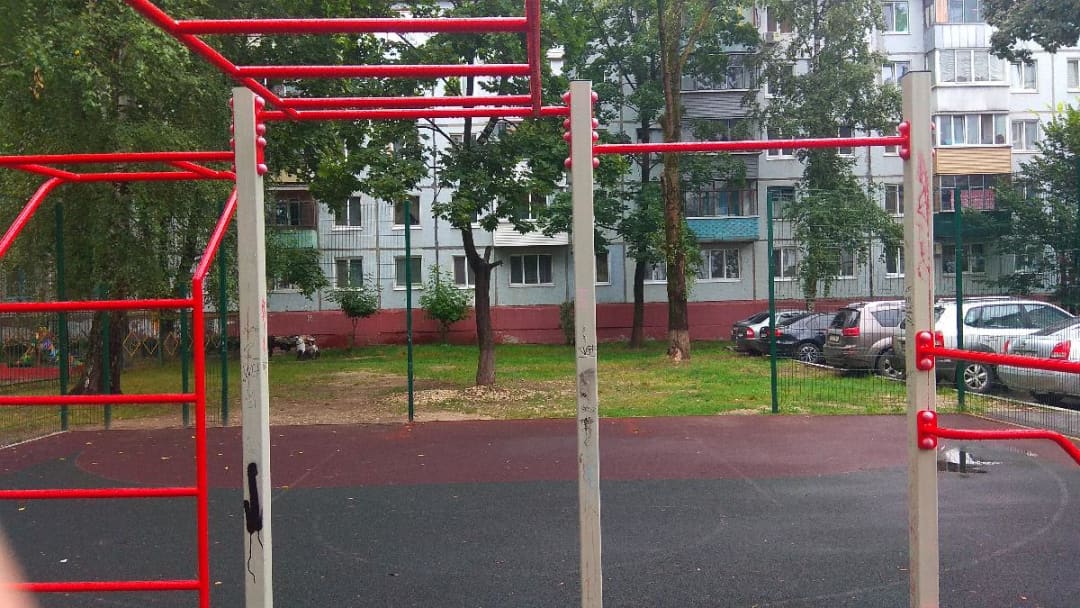 Турнік на майданчику Calisthenics Park at Орловская улица, Брянск – фото 1 з 6