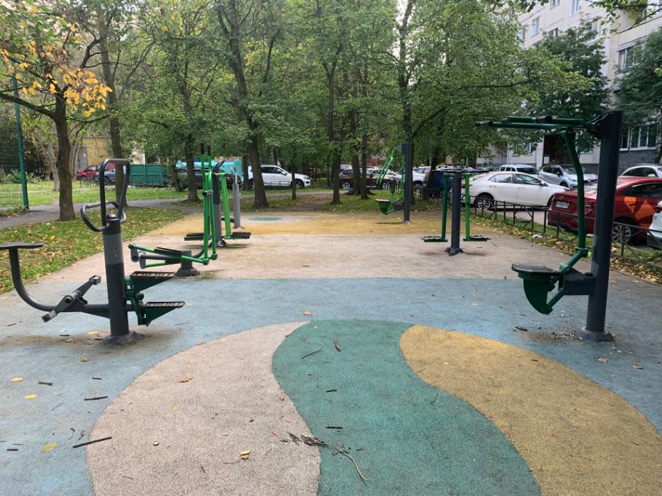 Parallel Gym Bars at Calisthenics Park at Долгоозёрная улица, Санкт-Петербург – photo 2 of 3