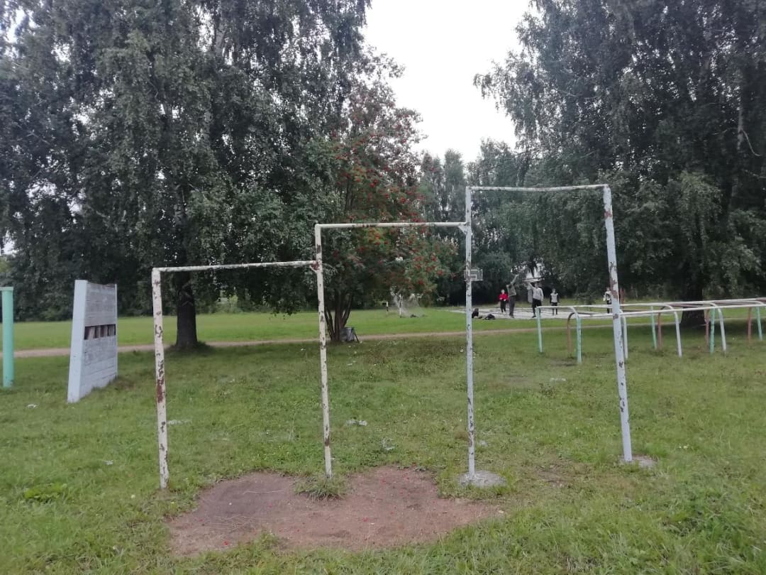Турнік на майданчику Calisthenics Park at Школьная улица, Садовый – фото 1 з 5