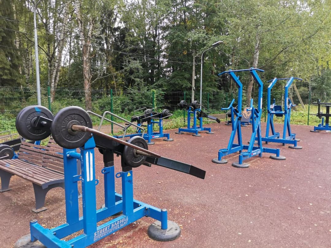 Гіперекстензія на майданчику Outdoor Gym #wp3024 in Московская область – фото 4 з 4