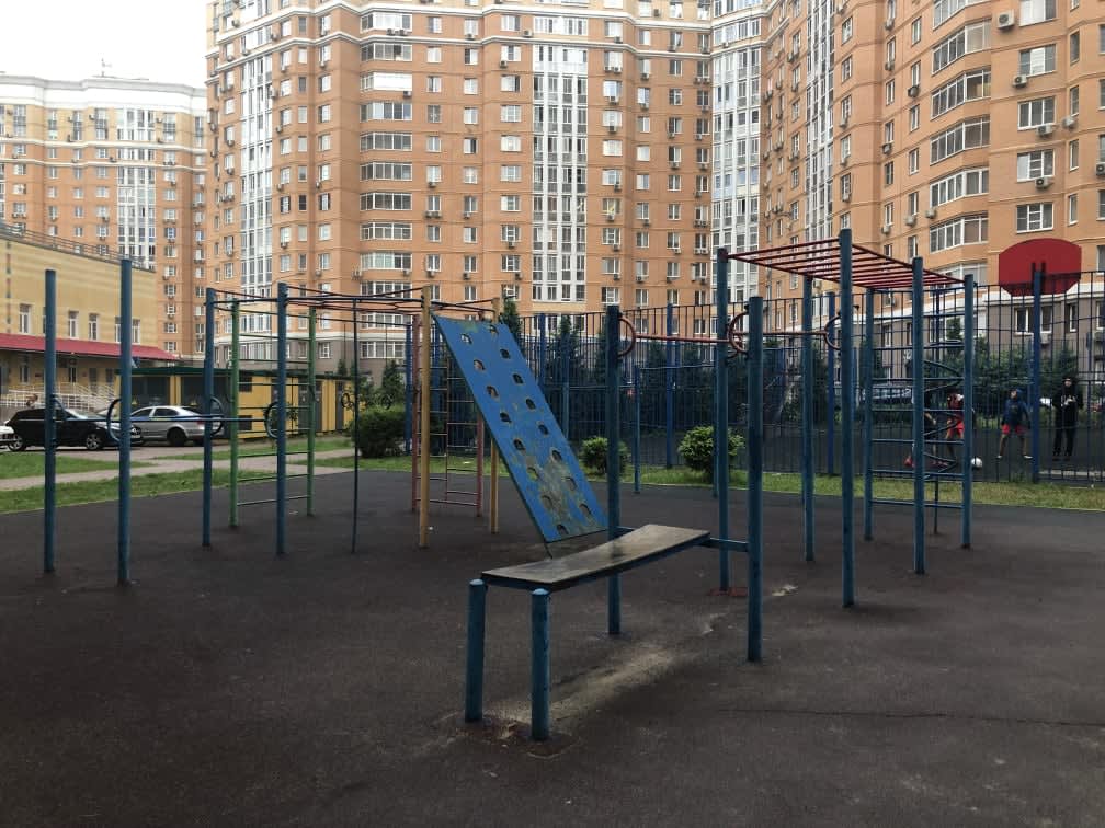Parallel Gym Bars at Calisthenics Park at проектируемый проезд № 6630, Москва – photo 2 of 4