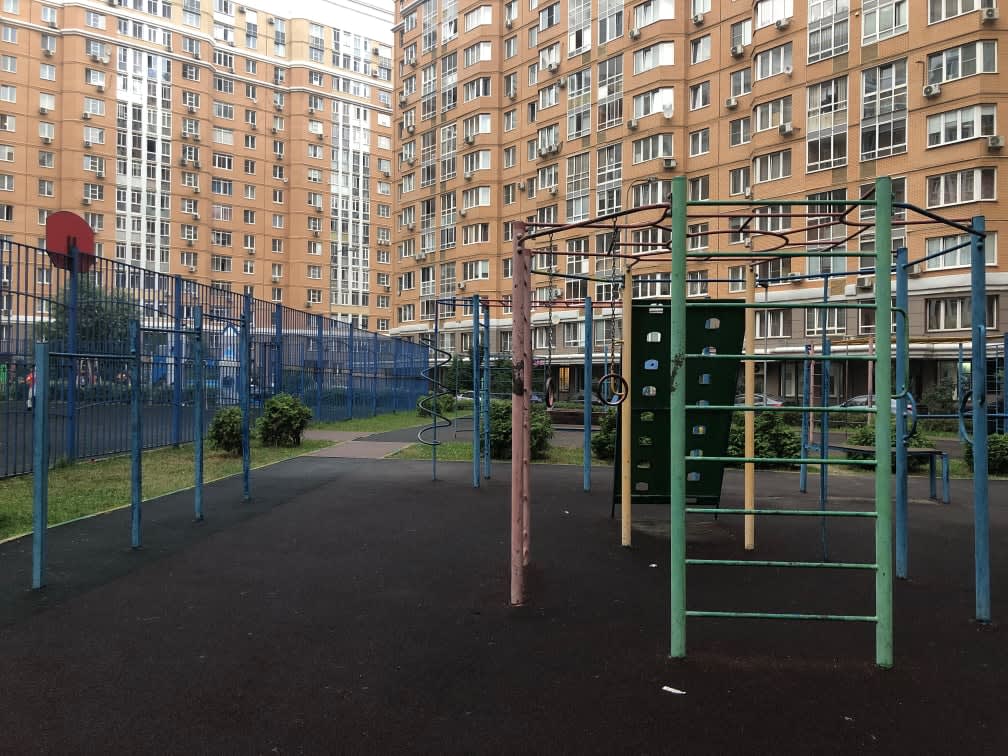 Monkey Bars at Calisthenics Park at проектируемый проезд № 6630, Москва – photo 3 of 4