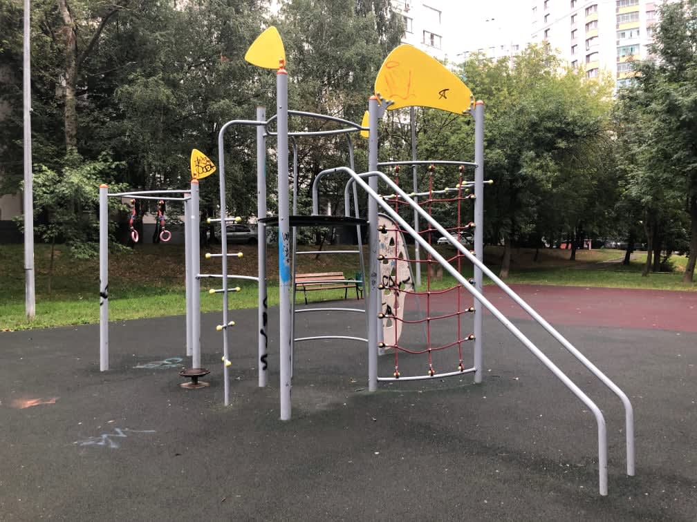 Gymnastic Rings at Calisthenics Park at Бирюлёвская улица, Москва #wp3038 – photo 3 of 3