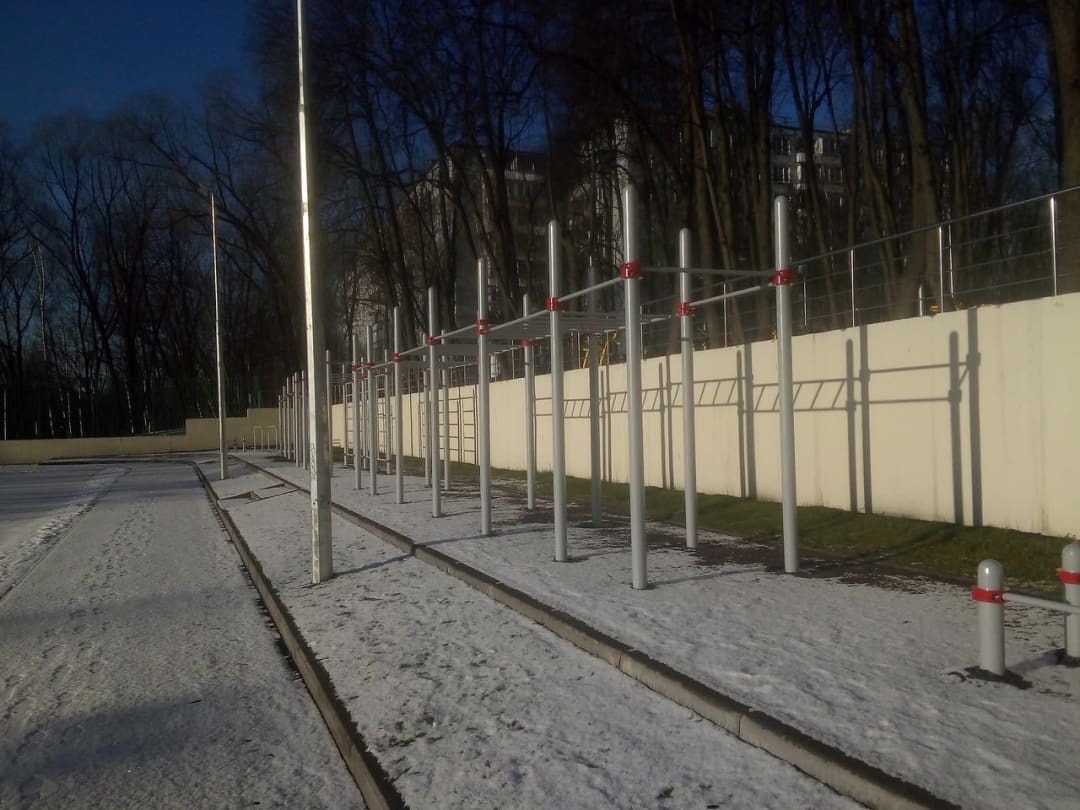 Monkey Bars at Calisthenics Park at Голубинская улица, Москва – photo 3 of 12