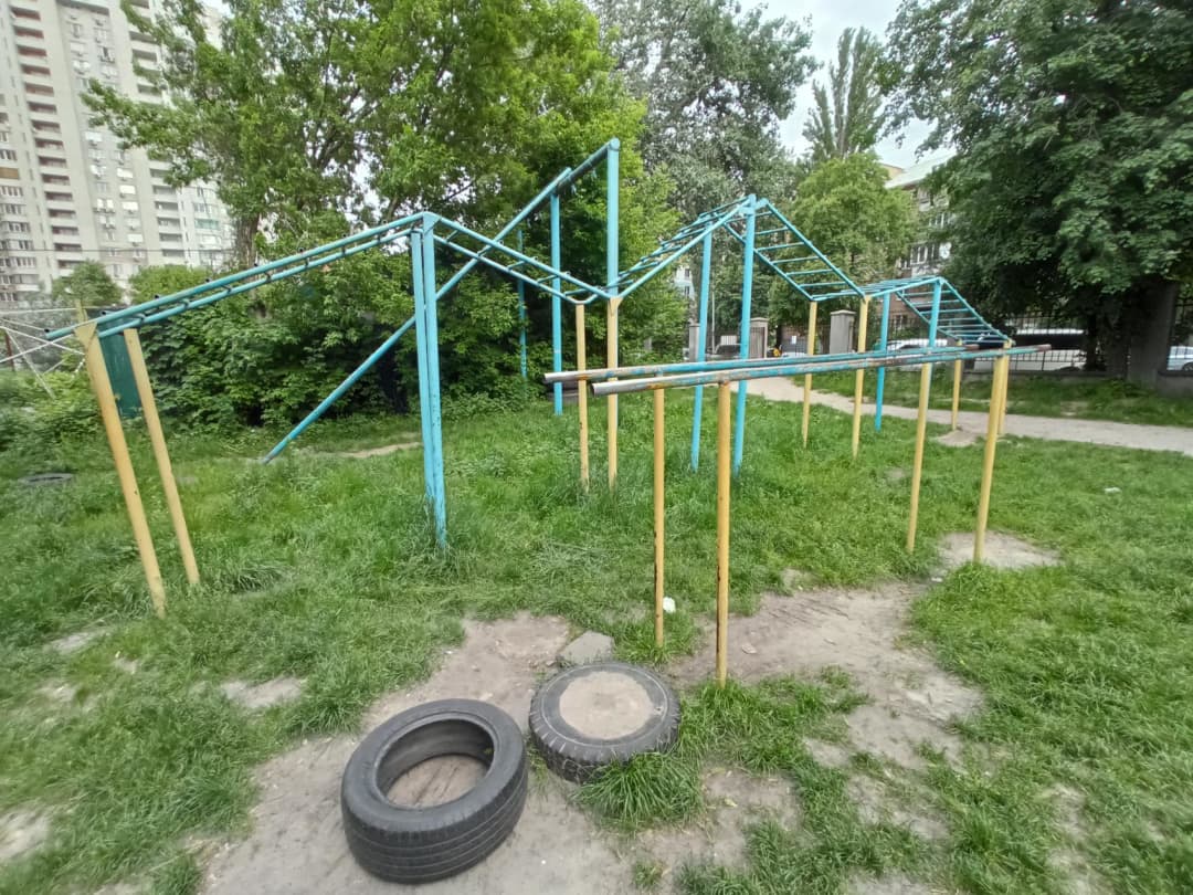 Monkey Bars at Calisthenics Park at Ростиславська вулиця, Київ – photo 3 of 3