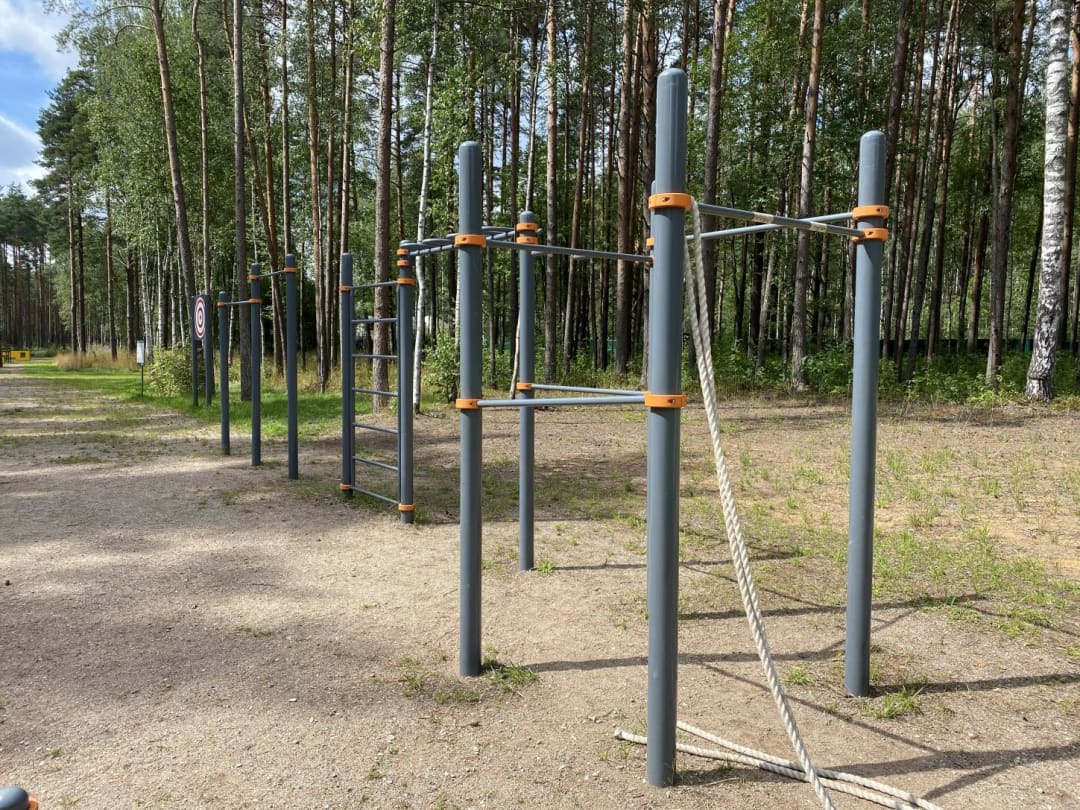 Упори для віджимань на майданчику Outdoor Gym #wp3193 in Тямшанская волость – фото 2 з 4