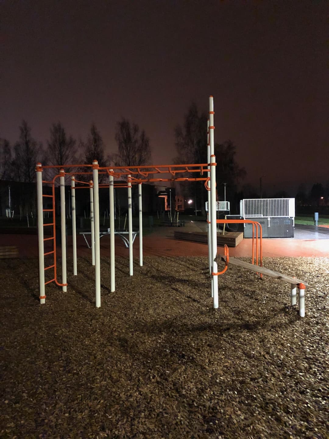 Barren bei Calisthenics Park at Aianduse, Tartu linn – Foto 2 von 4