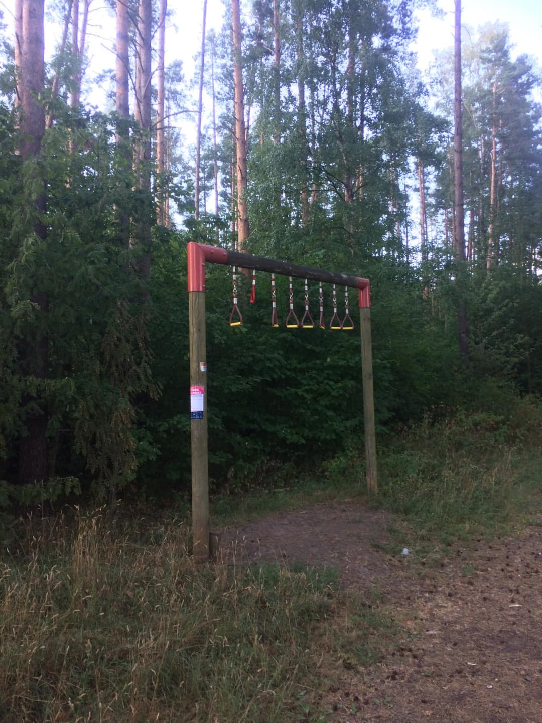 Monkey bar presso Calisthenics Park at Eduard Wiiralti, Tartu linn – foto 2 di 5