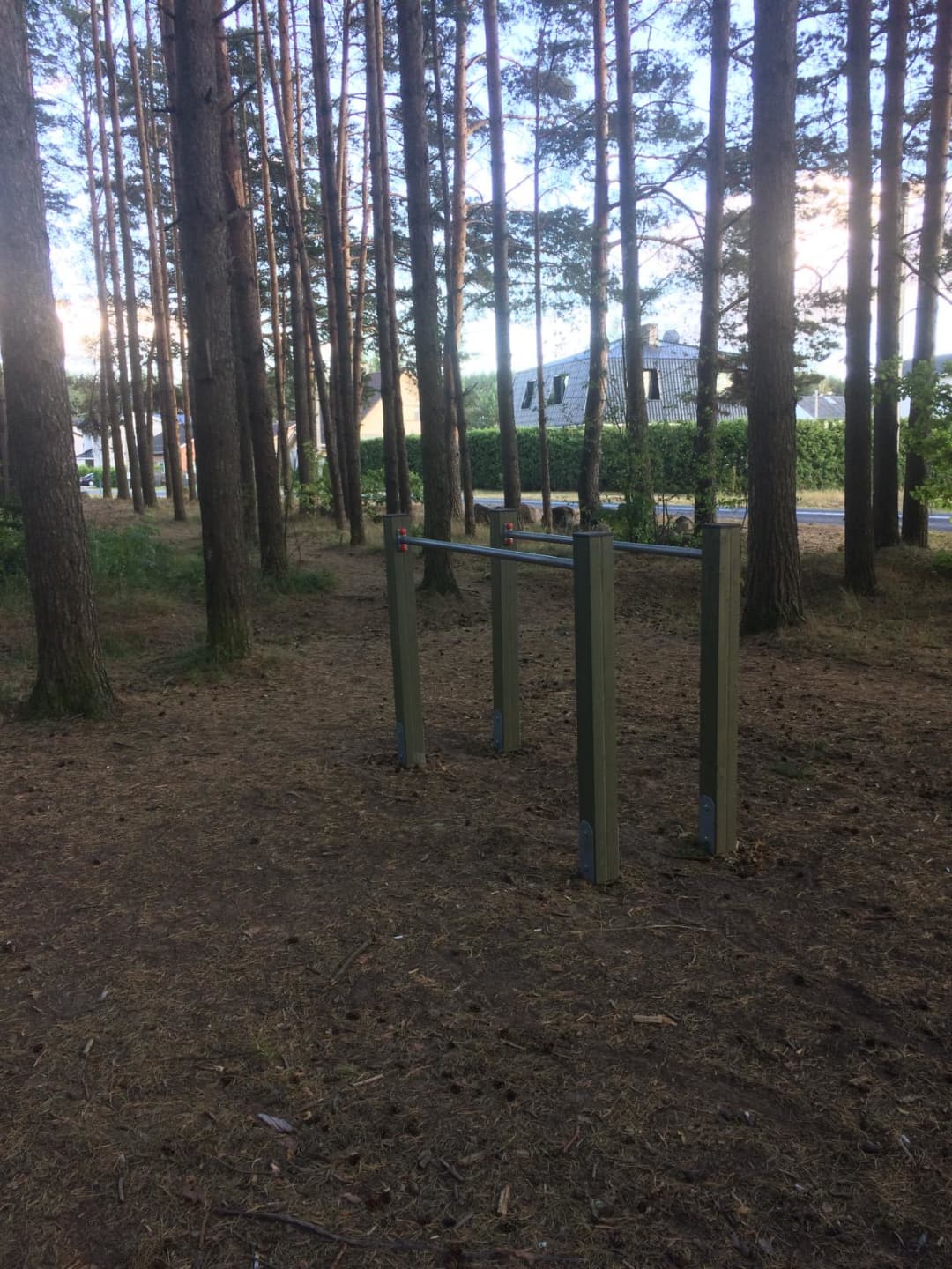 Trave di equilibrio presso Calisthenics Park at Eduard Wiiralti, Tartu linn – foto 3 di 5