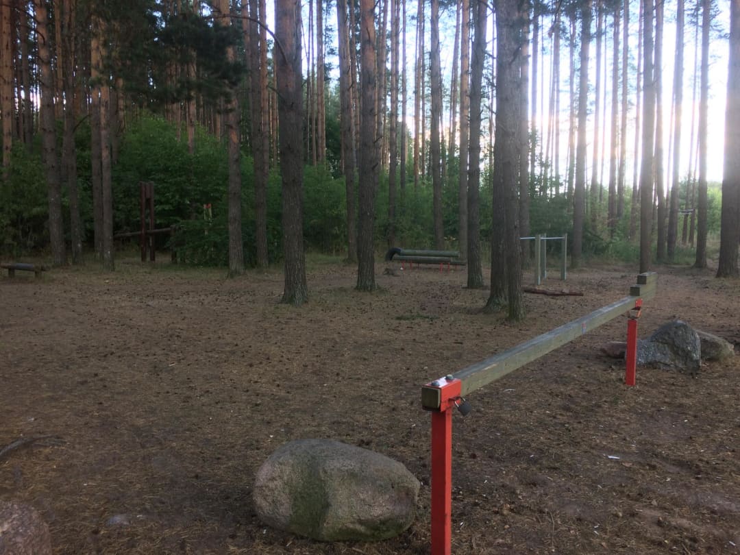 Monkey bar presso Calisthenics Park at Eduard Wiiralti, Tartu linn – foto 5 di 5