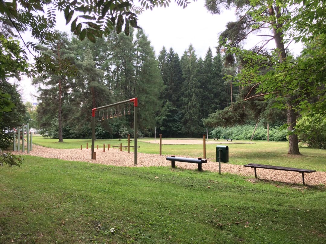 Abs Bench at Calisthenics Park at Sanatooriumi parkmetsa spordiväljak, Tartu linn – photo 3 of 4