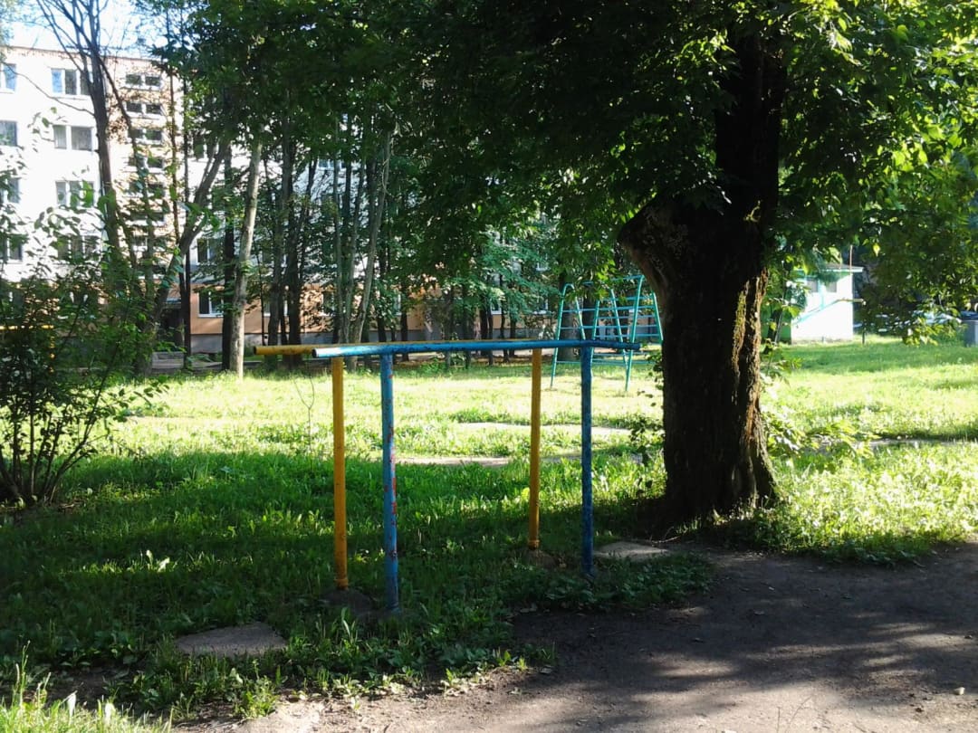 Parallel Gym Bars at Calisthenics Park at вуліца Бельскага, Мінск – photo 2 of 4