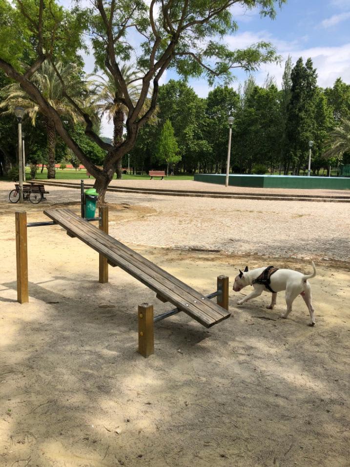 Barre de traction à Calisthenics Park at Praceta Santa Rita Pintor, Setúbal – photo 1 sur 1