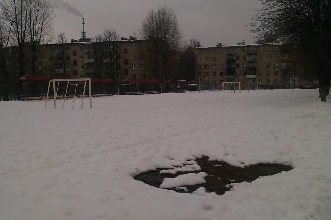 Monkey Bars at Calisthenics Park at вуліца Калініна, Мінск – photo 3 of 6