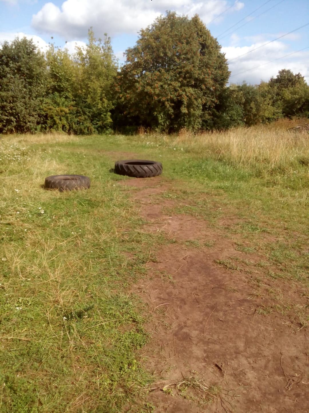 Упори для віджимань на майданчику Calisthenics Park at Электрон, городской округ Псков – фото 6 з 9