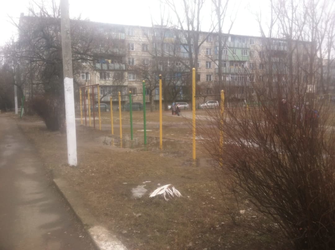 Monkey Bars la Calisthenics Park at Гвардейская улица, Рыбницкий городской совет – fotografia 3 din 4