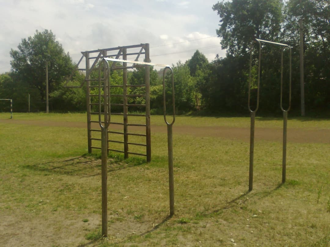 Monkey Bars at Outdoor Gym in Raionul Șoldănești, Șestaci – photo 3 of 12