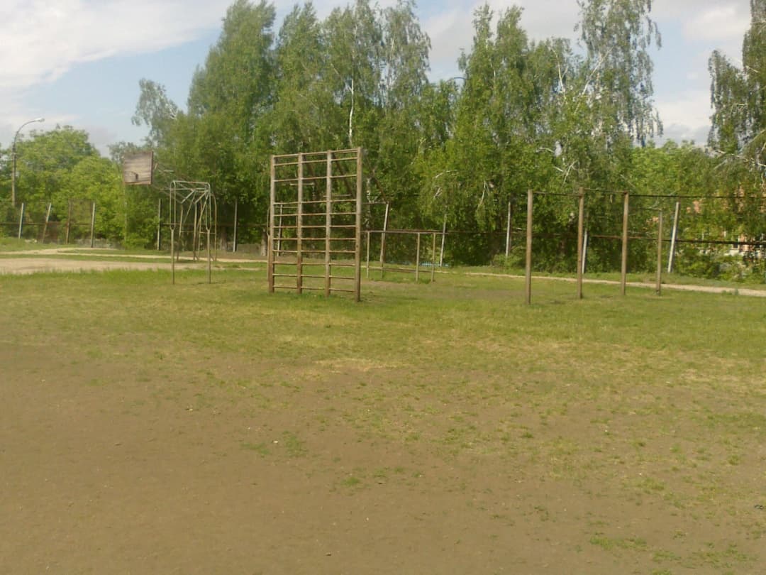 Parallel Gym Bars at Outdoor Gym in Raionul Șoldănești, Șestaci – photo 10 of 12