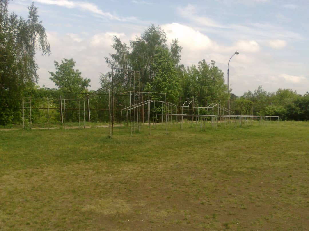 Wall Bars at Outdoor Gym in Raionul Șoldănești, Șestaci – photo 12 of 12