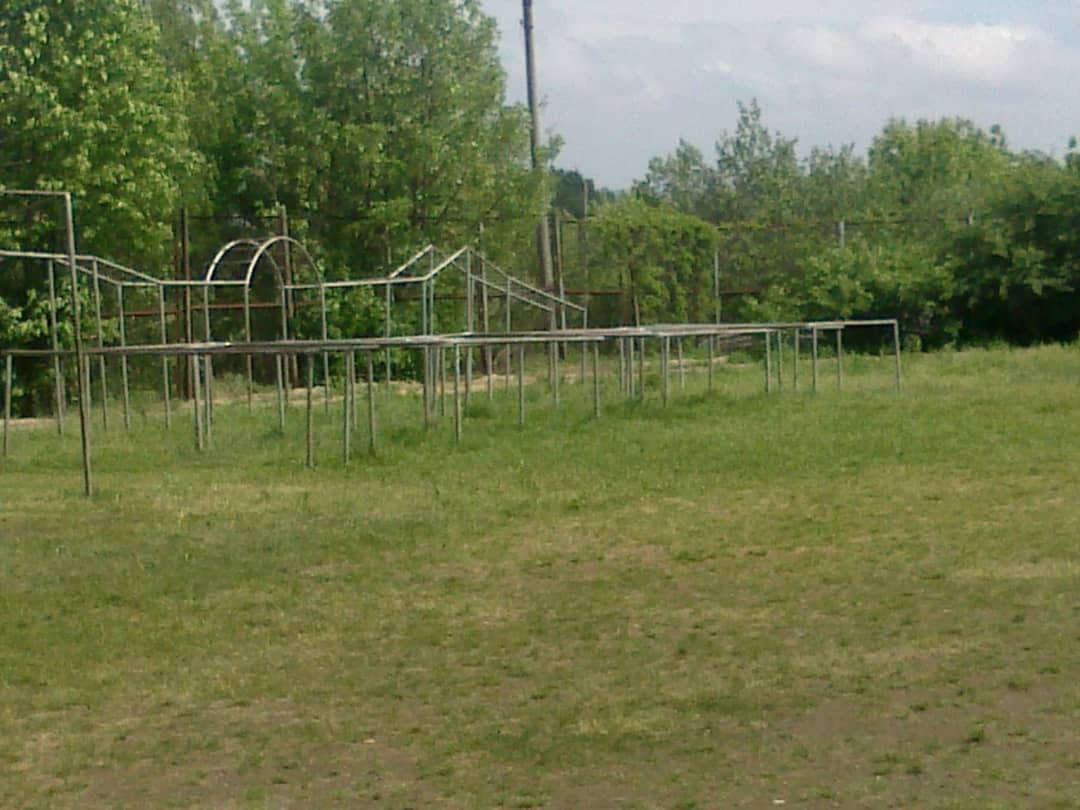 Monkey Bars at Outdoor Gym in Raionul Șoldănești, Șestaci – photo 11 of 12