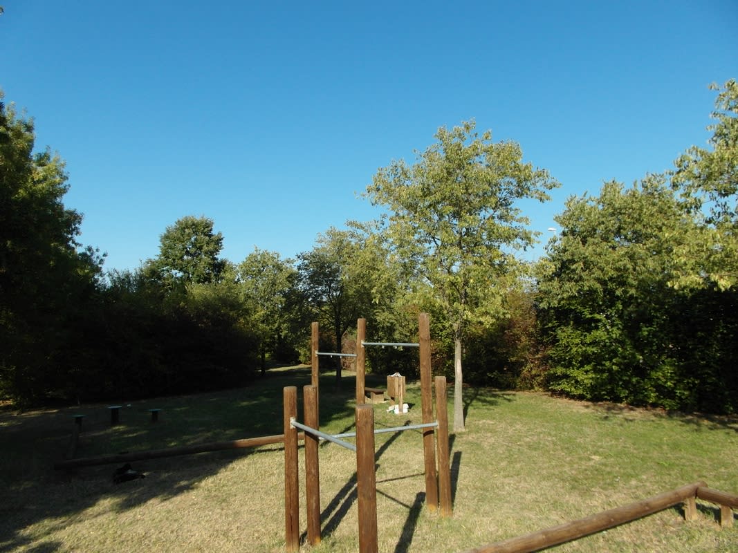 Barre de traction à Calisthenics Park at Via Canusina, Bibbiano – photo 13 sur 16