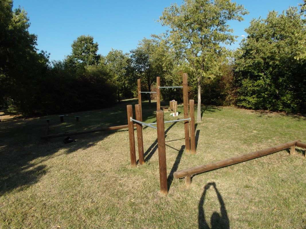 Barres parallèles à Calisthenics Park at Via Canusina, Bibbiano – photo 14 sur 16