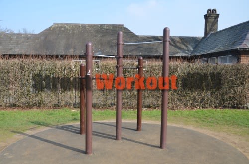 Monkey Bars at Calisthenics Park at Prince Albert Road, City of Westminster – photo 3 of 3